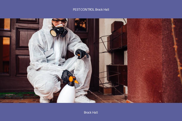 PEST CONTROL Brock Hall